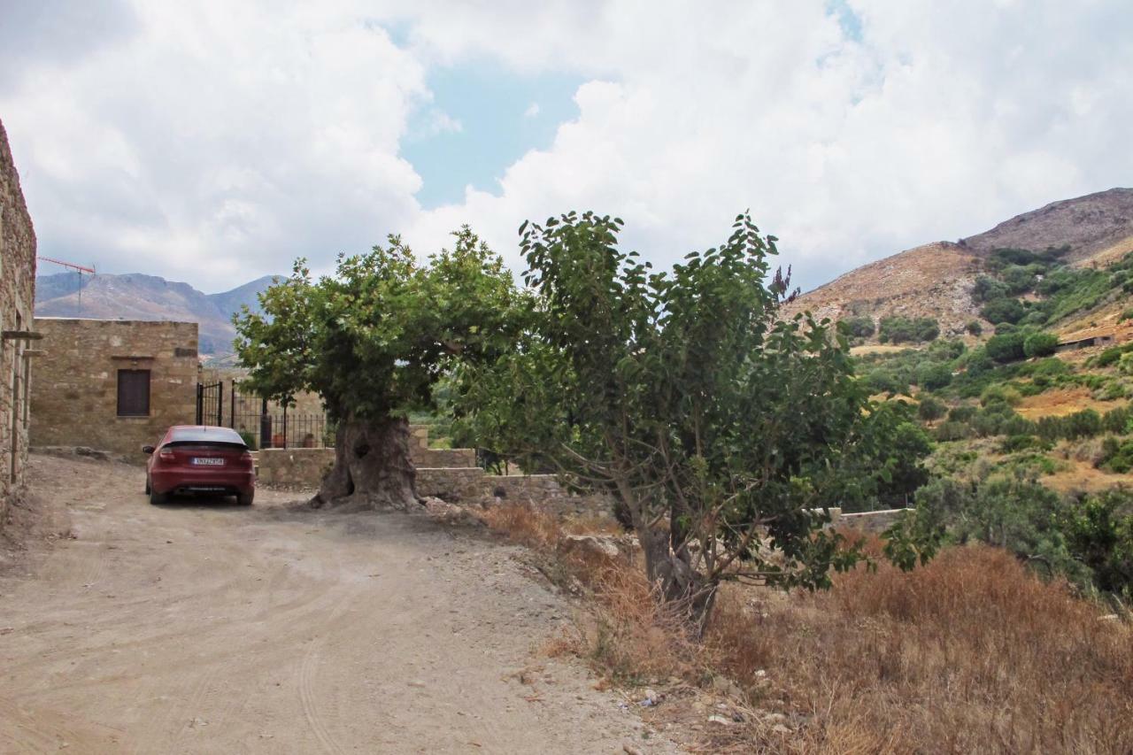 Petrakis Cretan Homes Kíssamos Exterior foto