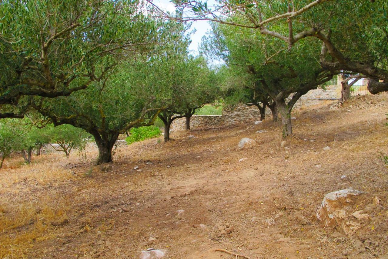 Petrakis Cretan Homes Kíssamos Exterior foto