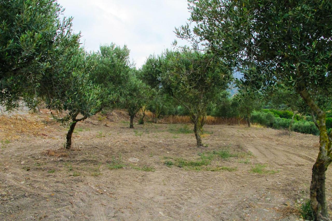 Petrakis Cretan Homes Kíssamos Exterior foto