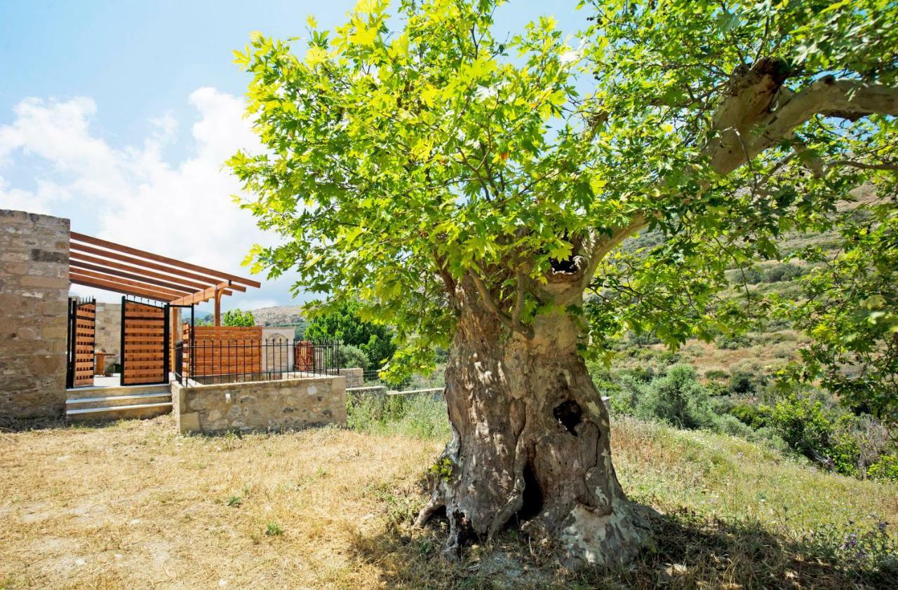 Petrakis Cretan Homes Kíssamos Exterior foto